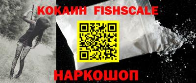 индика Гусь-Хрустальный
