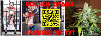 индика Гусь-Хрустальный