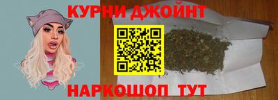 индика Гусь-Хрустальный