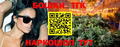 индика Гусь-Хрустальный