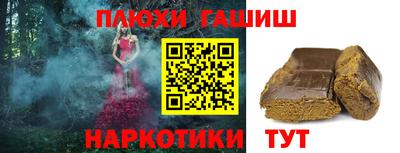 индика Гусь-Хрустальный