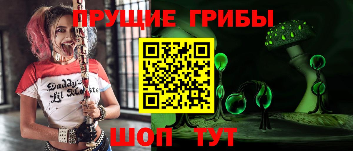 Псилоцибиновые грибы GOLDEN TEACHER Истра